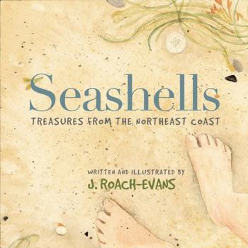 Paperback Seashells: Treasures from the Northeast Coast Book