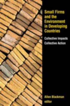 Paperback Small Firms and the Environment in Developing Countries: Collective Impacts, Collective Action Book