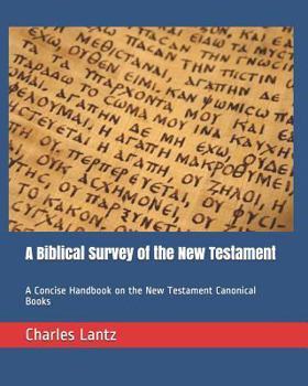 Paperback A Biblical Survey of the New Testament: A Concise Handbook on the New Testament Canonical Books Book