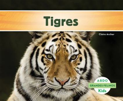 Library Binding Tigres (Tigers) [Spanish] Book