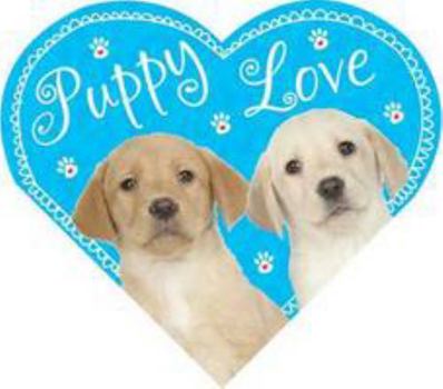 Board book Puppy Love (Mini Board Books) Book