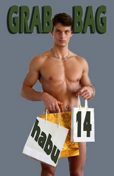 Paperback Grab Bag 14: A Gay Erotica Anthology Book