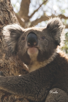 Koala: Notizbuch / Tagebuch / Reisetagebuch süßer Koala Bild - DIN A5 120 Seiten punktiert / Punkteraster - Geschenk Koalabär (German Edition)