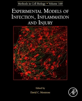 Hardcover Experimental Models of Infection, Inflammation and Injury: Volume 168 Book