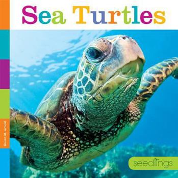 Library Binding Sea Turtles Book