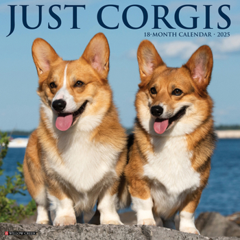 Unknown Binding Just Corgis 2025 12 X 12 Wall Calendar Book