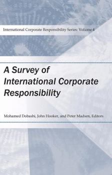 Paperback A Survey of International Corporate Responsibility Book