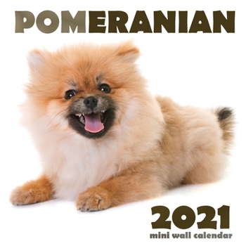 Paperback Pomeranian 2021 Mini Wall Calendar Book