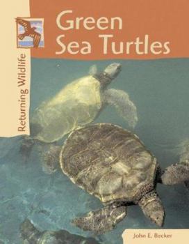 Hardcover The Greensea Turtles Book