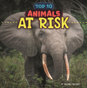 Animals at Risk (Wild World: Top 10)