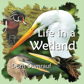 Paperback Life In A Wetland Book