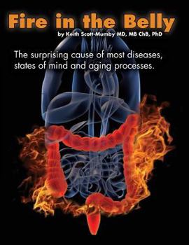 Paperback Fire In The Belly: The Surprising Cause of Most Diseases, States Of Mind and Aging Processes Book