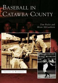 Paperback Baseball in Catawba County Book