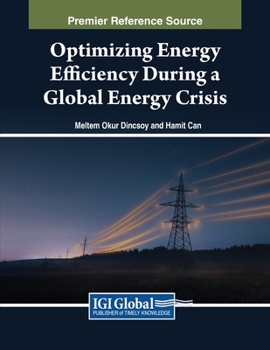 Paperback Optimizing Energy Efficiency During a Global Energy Crisis Book