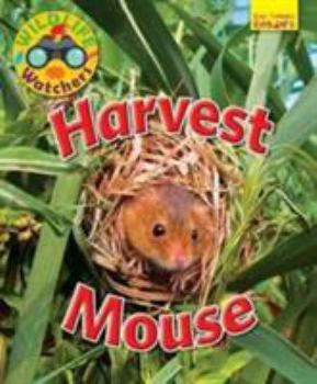 Paperback Wildlife Watchers: Harvest Mouse 2017 (Ruby Tuesday Readers) Book