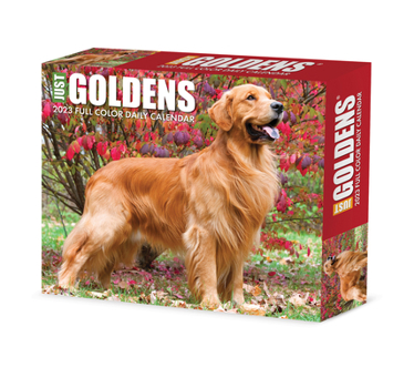 Calendar Goldens 2023 Box Calendar Book