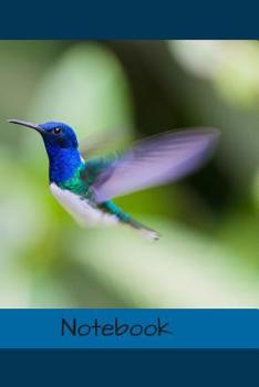 Paperback Notebook: 6" X 9" 150 page college lined soft covered journal, notebook, diary with " humming bird " on a matte cover Book