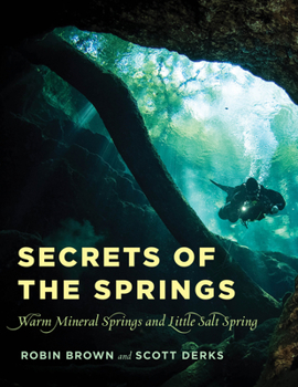 Paperback Secrets of the Springs: Warm Mineral Springs and Little Salt Spring Book