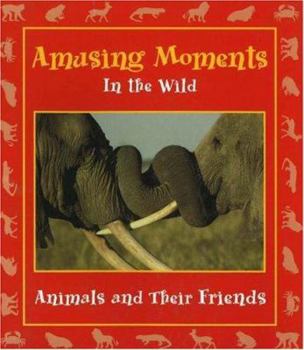 Hardcover Amusing Moments in the Wild: Animals and Their Friends Book