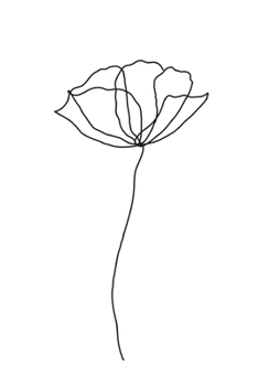 Sketchbook Diary: for nature lover