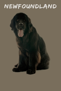 Newfoundland: 120 Page Unlined (6 x 9 inches) Newfoundland Notebook with More Newfoundlands Inside!