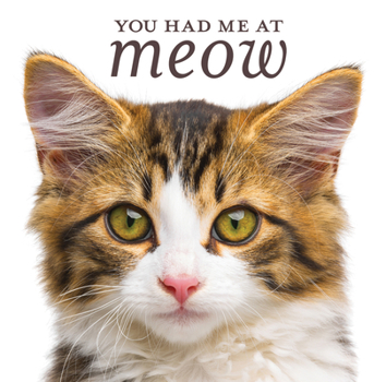 Hardcover You Had Me at Meow Book