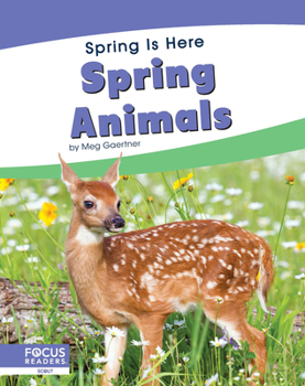 Paperback Spring Animals Book