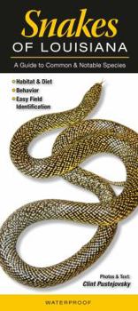 Pamphlet Snakes of Louisiana: A Guide to Common & Notable Species Book