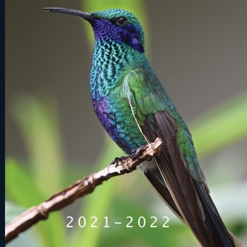 2021 - 2022: 18 Month Calendar | Monthly Photo Calendar | July 2021 - December 2022 | Monthly Calendar with U.S./UK/ Canadian/Christian/Jewish/Muslim Holidays | Hummingbirds Calendar