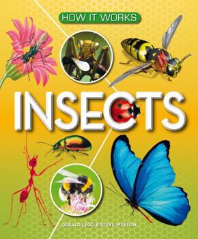 Hardcover How It Works: Insects Book