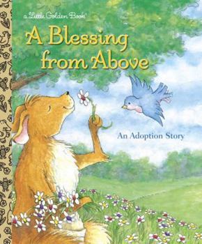 Hardcover A Blessing from Above Book