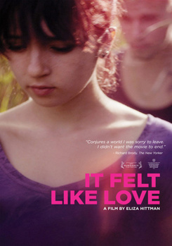 DVD It Felt Like Love Book