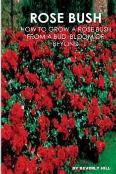 Rose Bush: Learn How to Grow a Rose Bush from a Bud, Bloom or Beyond