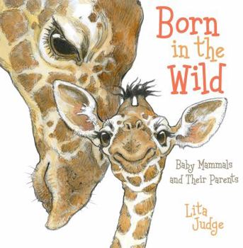 Born in the Wild: Baby Mammals and Their Parents - Book  of the In the Wild
