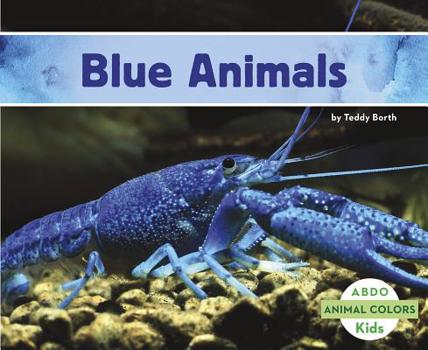 Paperback Blue Animals Book