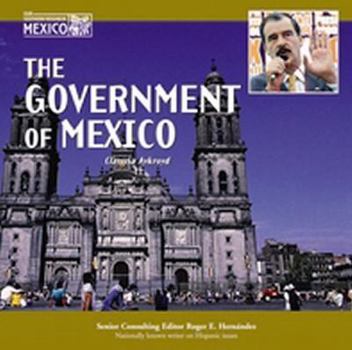 Library Binding The Government of Mexico Book