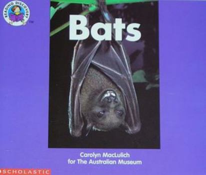 Paperback Bats (Reading discovery) Book