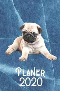 Paperback Planer 2020: Terminplaner Monatsplaner und Wochenplaner Organizer Mops Blauer Marmor [German] Book