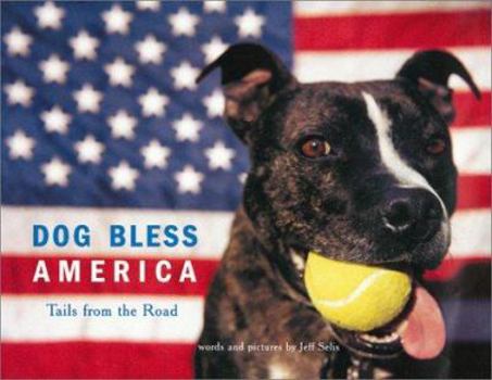 Hardcover Dog Bless America: Tails from the Road Book