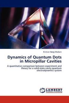 Paperback Dynamics of Quantum Dots in Micropillar Cavities Book