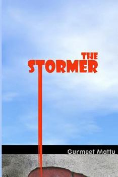 Paperback The Stormer Book