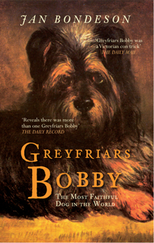 Paperback Greyfriars Bobby: The Most Faithful Dog in the World Book