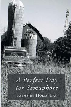 Paperback A Perfect Day for Semaphore Book