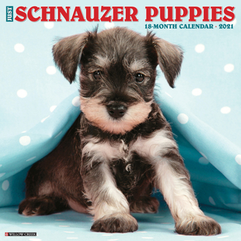 Calendar Just Schnauzer Puppies 2021 Wall Calendar (Dog Breed Calendar) Book