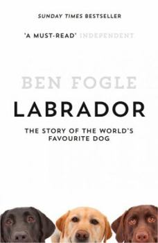 Paperback Labrador: The Story of the World's Favourite Dog Book