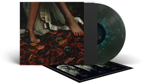 Vinyl Vexier (Dark Green) Book