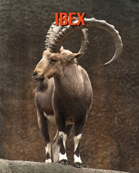 Paperback Ibex: Amazing Facts about Ibex Book