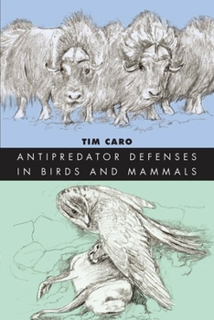 Paperback Antipredator Defenses in Birds and Mammals Book
