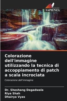 Paperback Colorazione dell'immagine utilizzando la tecnica di accoppiamento di patch a scala incrociata [Italian] Book