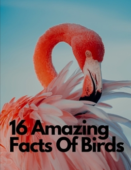 Paperback 16 Amazing Facts Of Birds Book